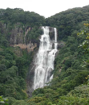 null-Udzungwa Mountains National Park