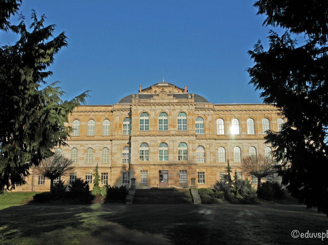 Herzogliches Museum景点图片