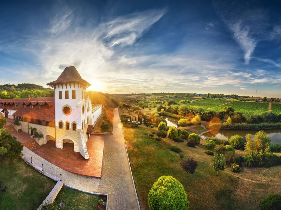 Pavlivka酒店住宿-Chateau Purcari