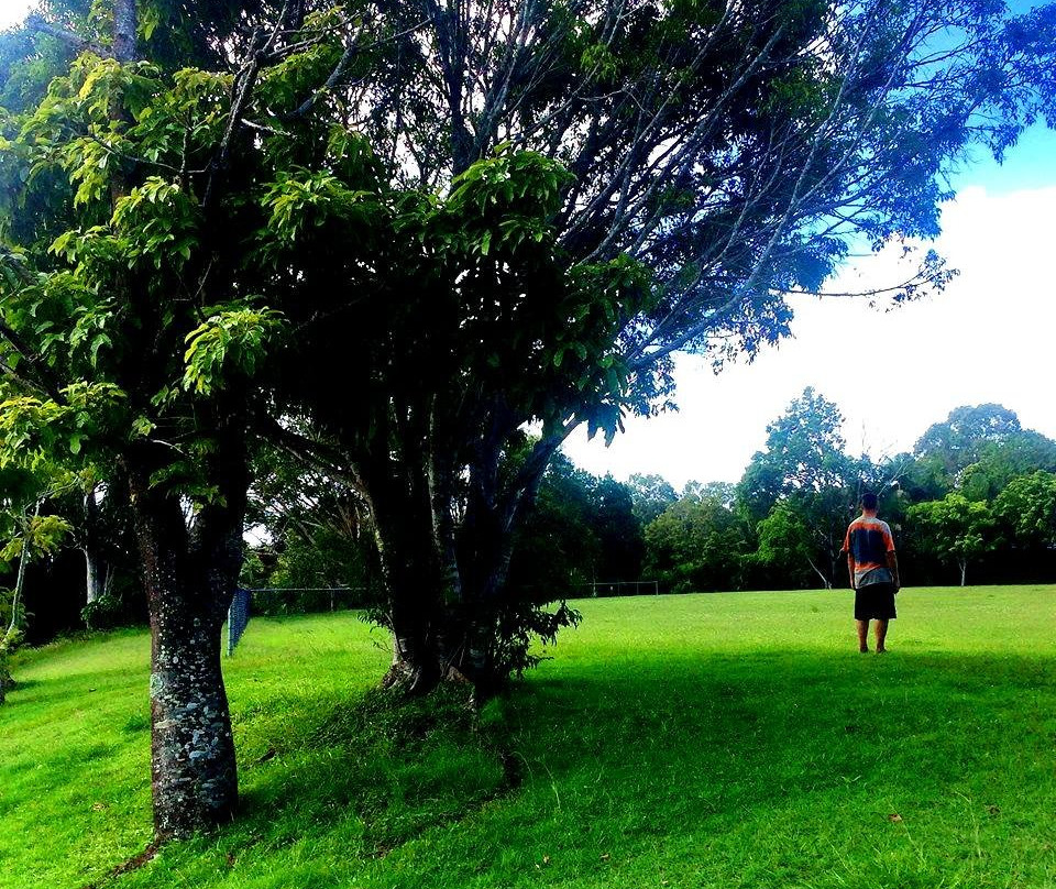 Jackson Oval Playground景点图片