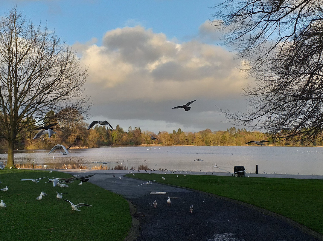 Lurgan Park景点图片