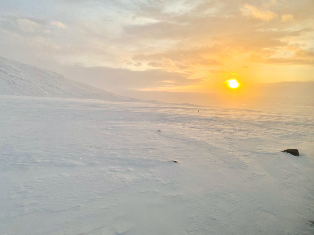 Gullfoss - Geysir & Snowmobiling-雷克雅未克必去景点