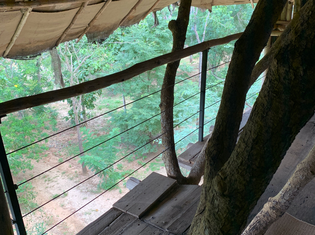 萨拉伊村酒店主图