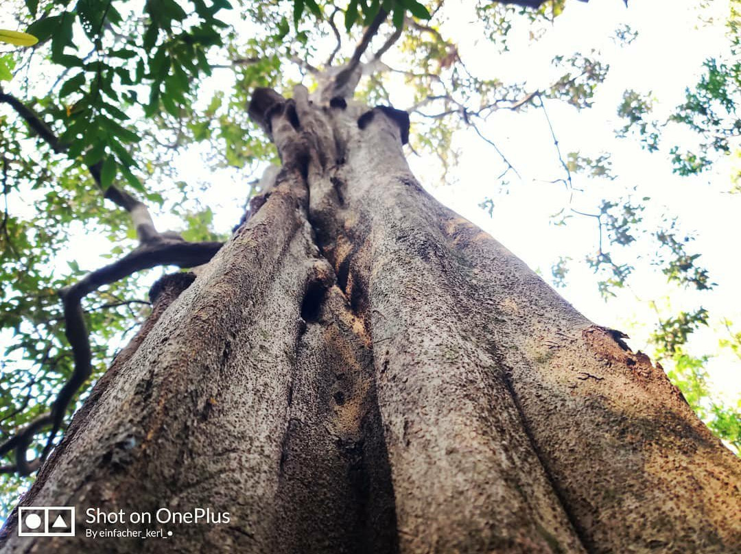 Naneghat Hills-Ghatghar必去景点
