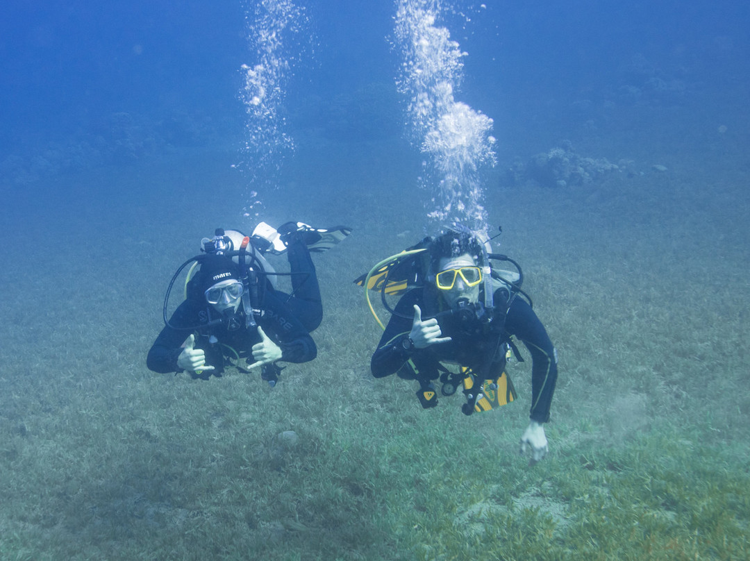 Sinai Divers Aqaba-亚喀巴必去景点