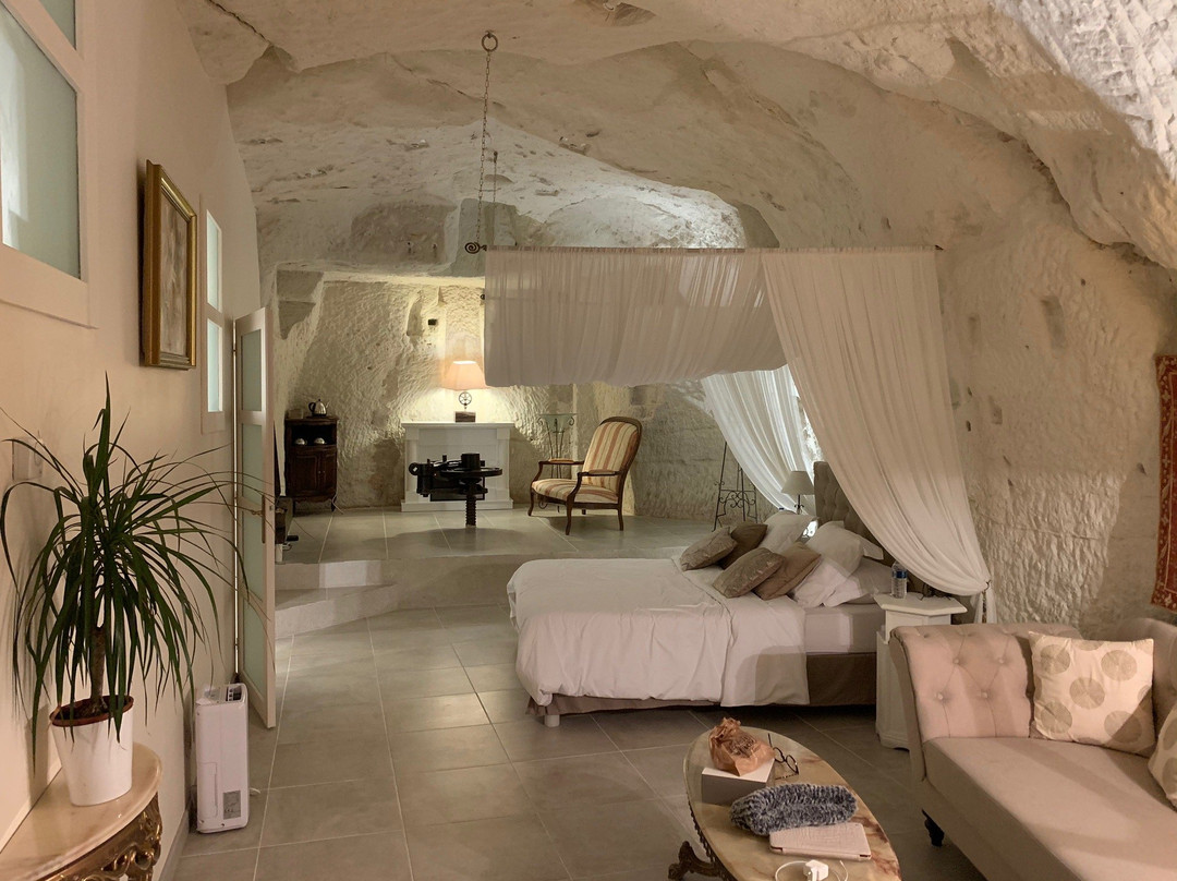 Le Manoir Des Roches 41主图