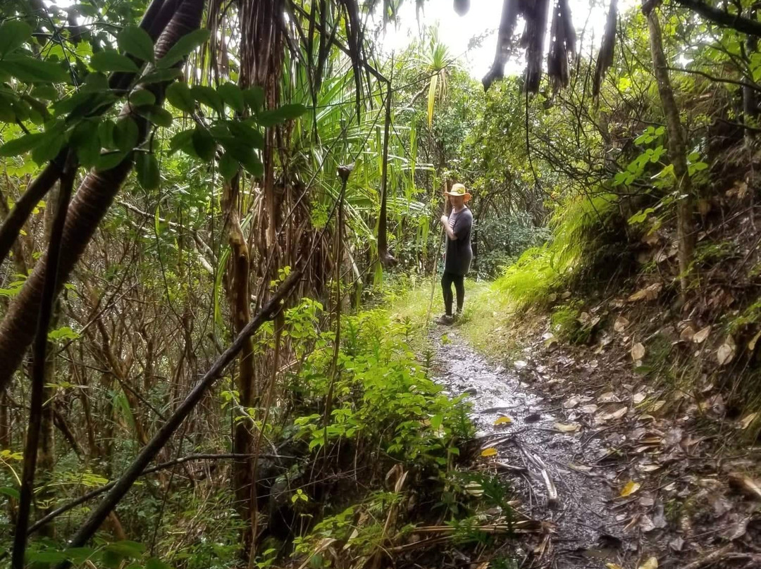 Maʻakua Ridge Trail景点图片