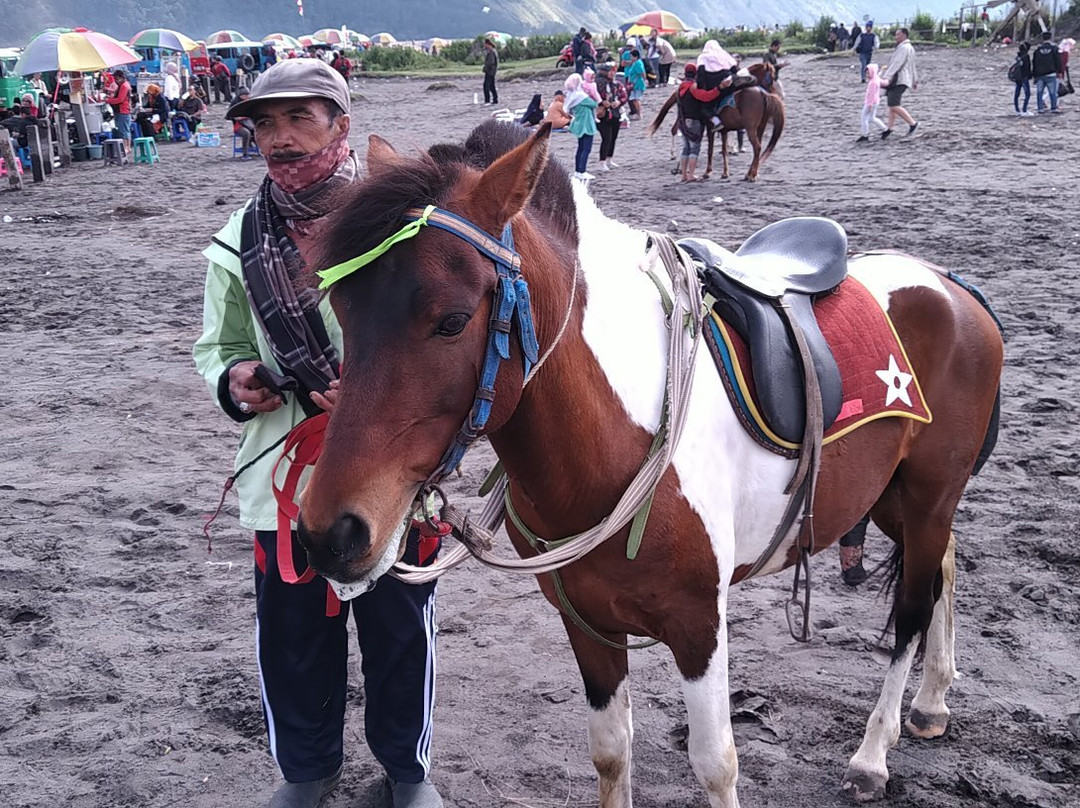 Bromo Ijen Tourist Friends-西多尔佐必去景点