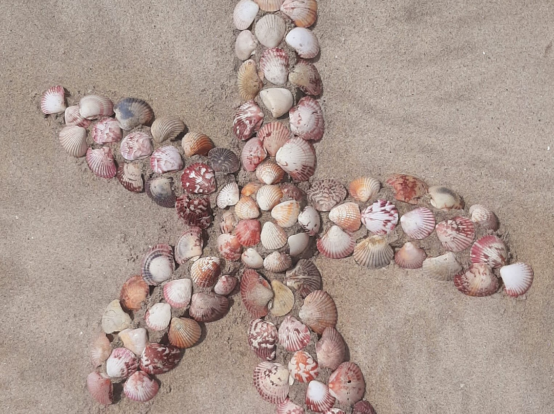 Togo Bed and Breakfast主图