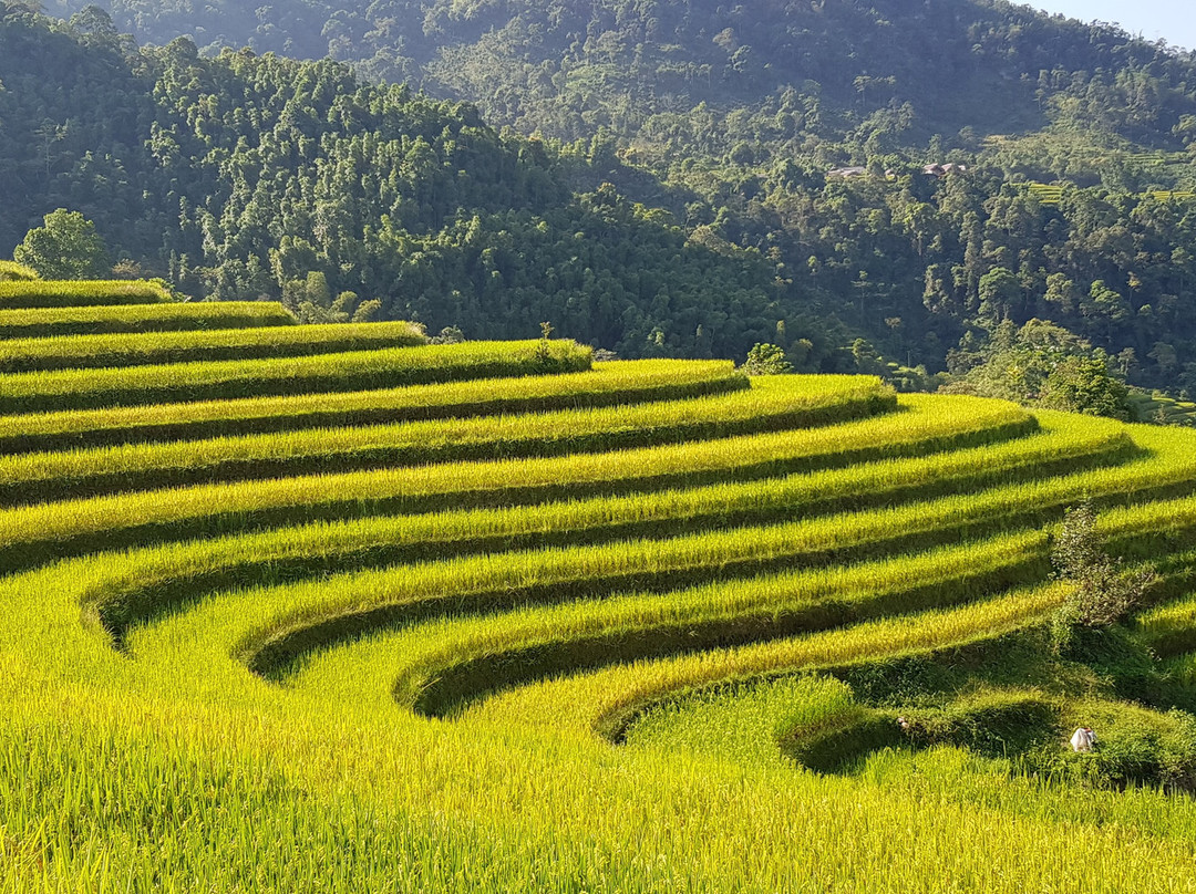 Thong Nguyen旅游攻略图片