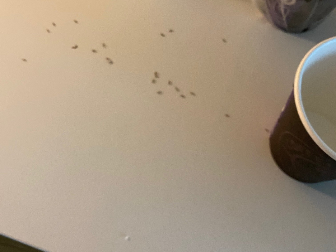 Home2 Suites by Hilton Alameda Oakland Airport主图