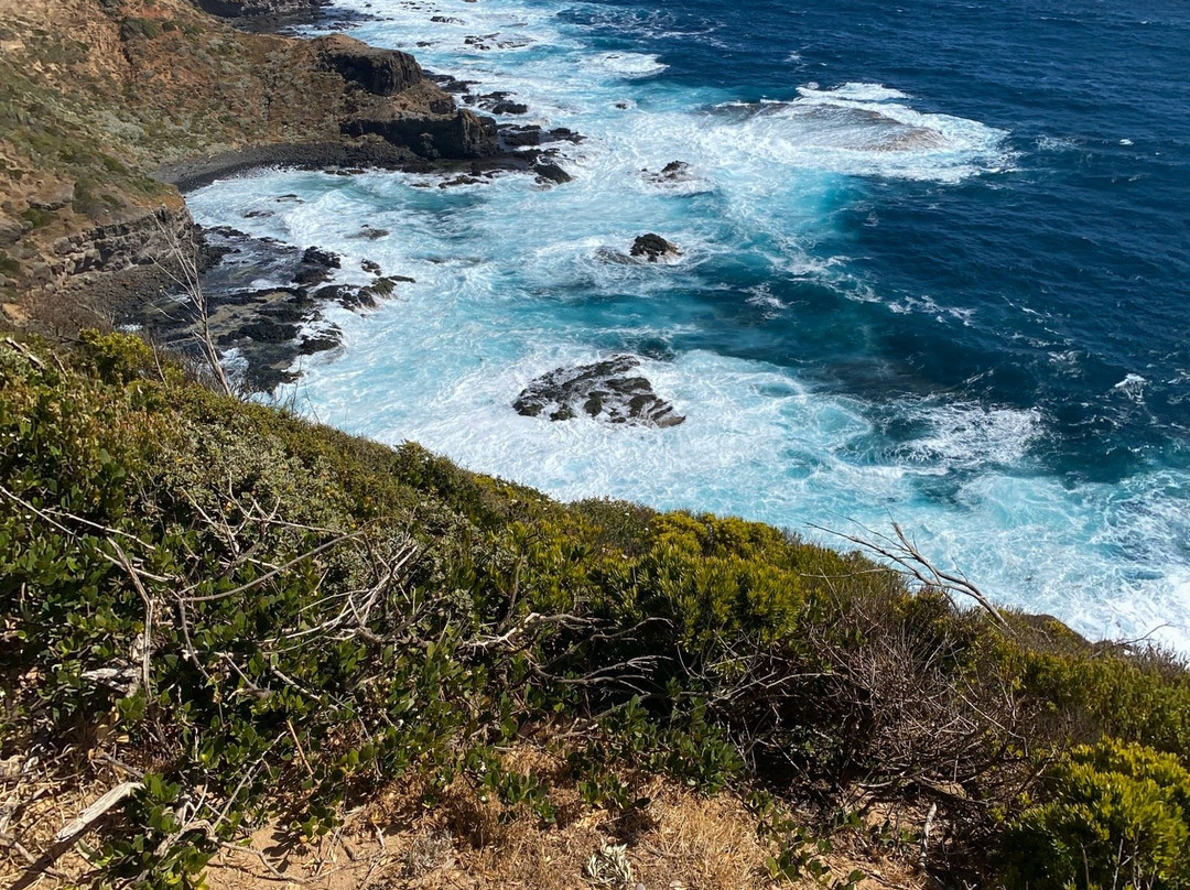 The Two Bays Walking Track景点图片