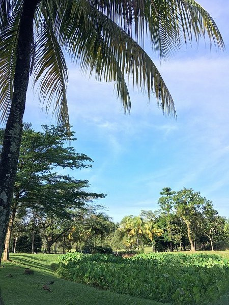 Ara Damansara Park-八打灵再也必去景点