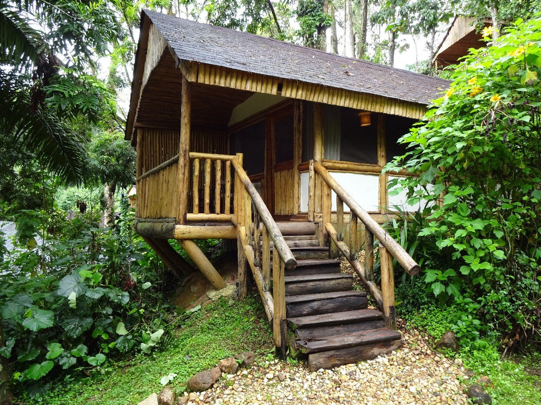 Wild Frontiers Uganda Safaris-恩德培必去景点