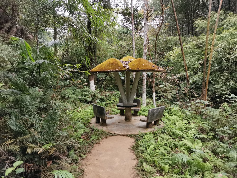 Khadimnagar National Park-锡尔赫特必去景点