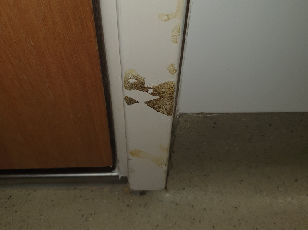 Warrington Motel, J20 M6 Lymm Services主图