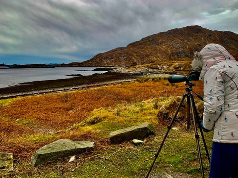 Wild West-威廉堡必去景点