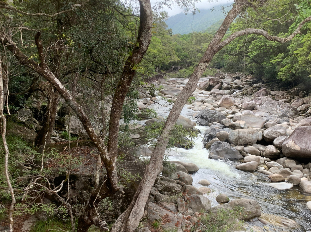 Mossman Gorge Cultural Centre-丹特里区必去景点