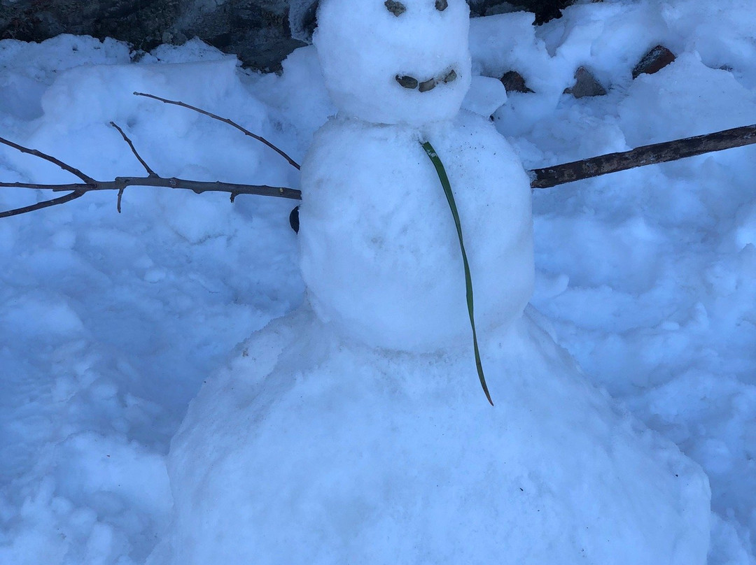 Treebo Trend Snow View Resort主图