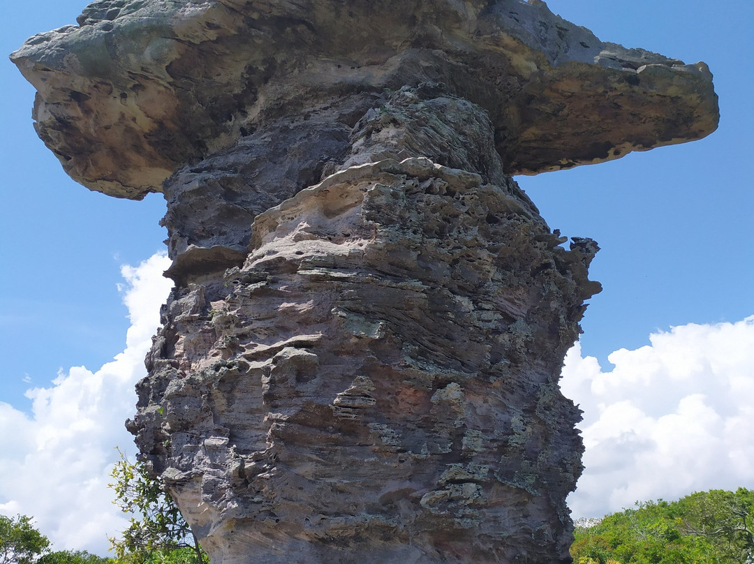 Parque Estadual de Monte Alegre景点图片