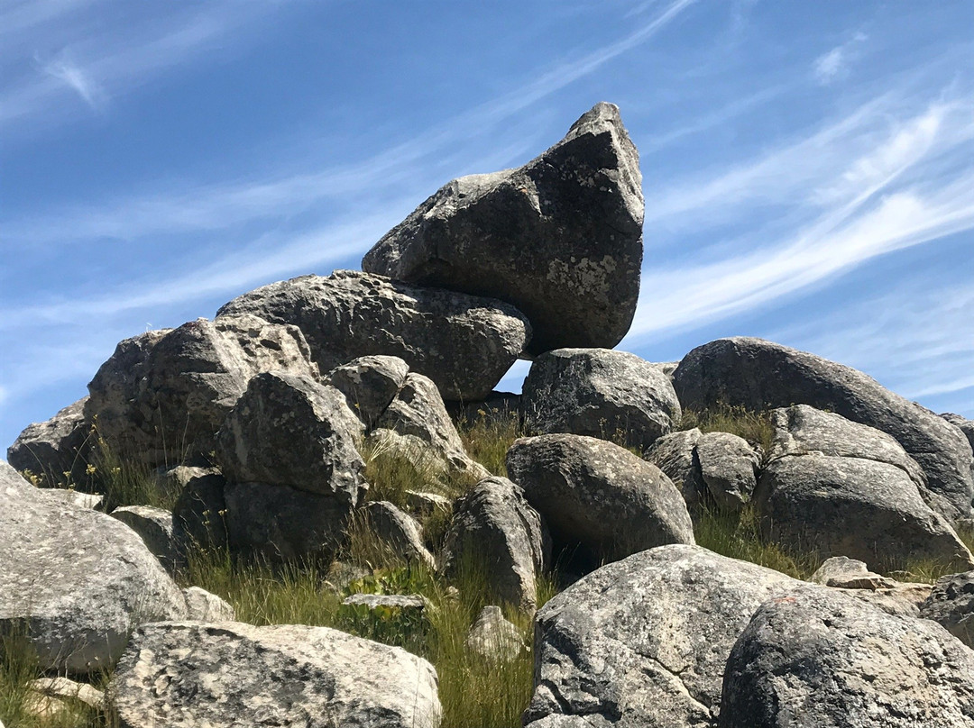 Montagu Tractor Ride-蒙提古必去景点