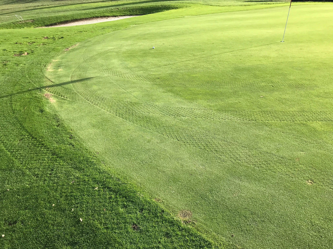 Golf de Carcassonne景点图片