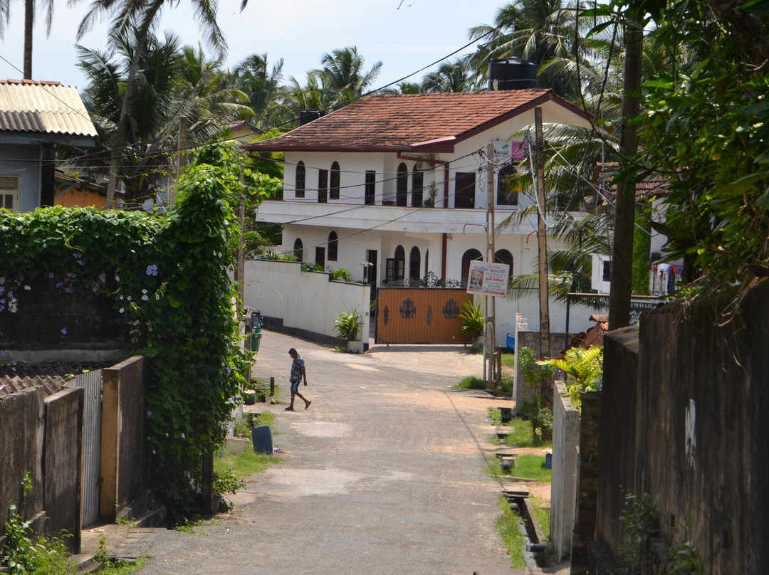 Italia Beach Hotel主图