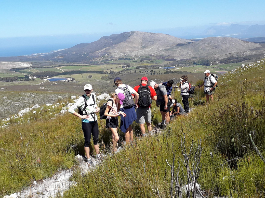 Sunroad Trading 9cc-赫曼努斯必去景点