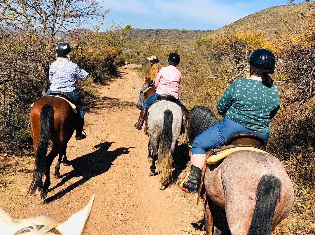 Rancho San Francisco-Chapala必去景点