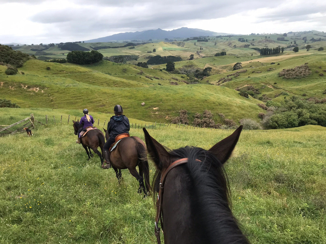 Stone Hill Horse Trek景点图片