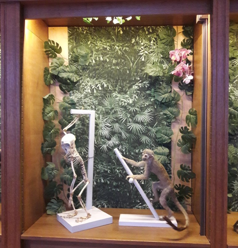 University Museum Groningen-格罗宁根省必去景点