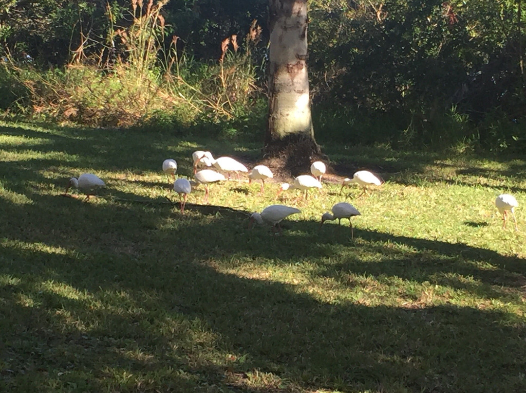 River Breeze Park-Oak Hill必去景点