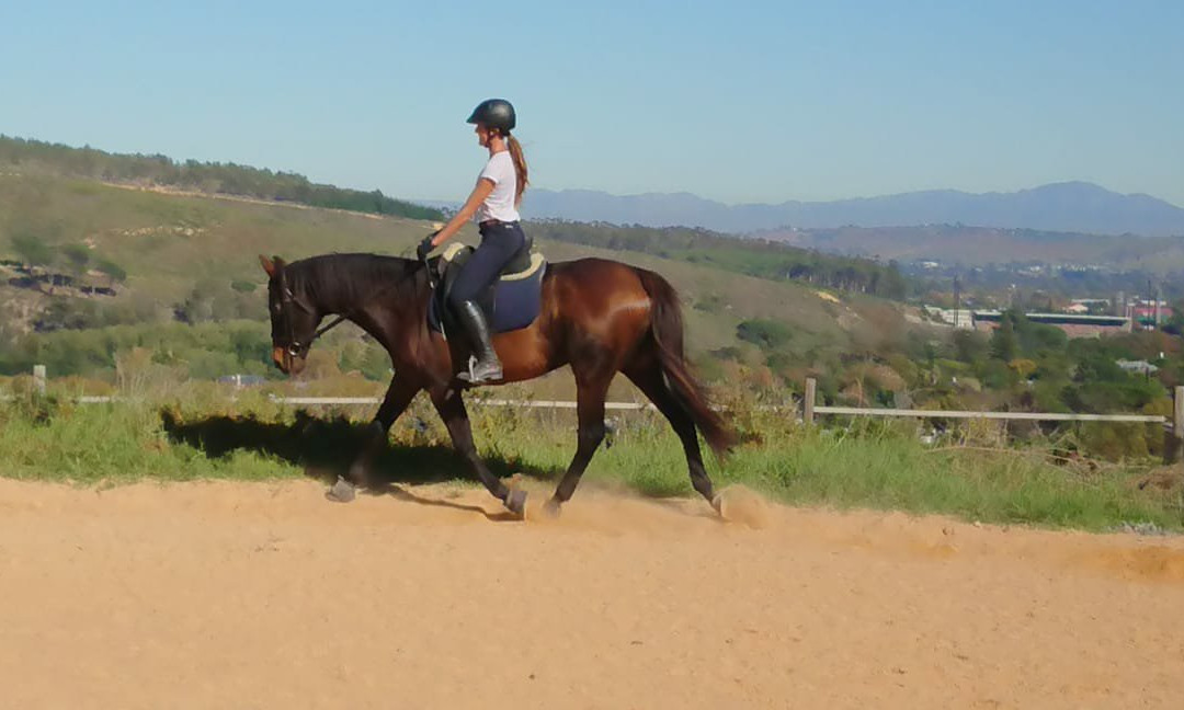 Eagles View Equestria at Klein Lanzerac-Elsenburg必去景点