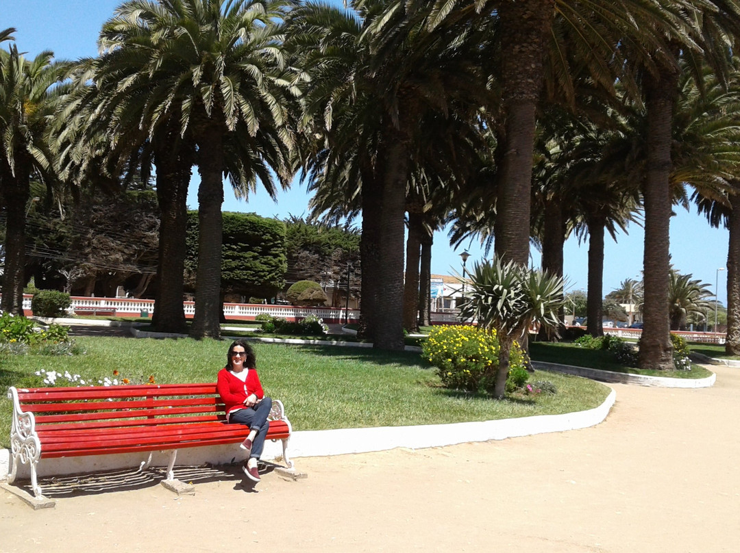 Parque Ross-皮钦勒姆必去景点