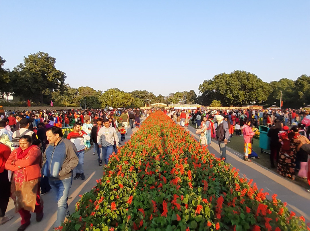 Terraced Garden-昌迪加必去景点