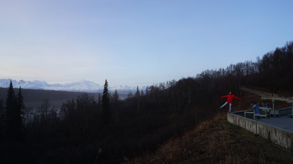 Denali Park旅游攻略图片