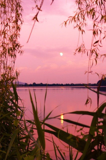 Lago di Mergozzo景点图片