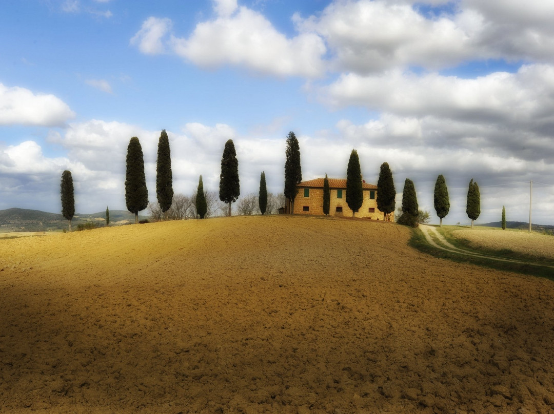A Day in Tuscany by Serena Baglioni景点图片