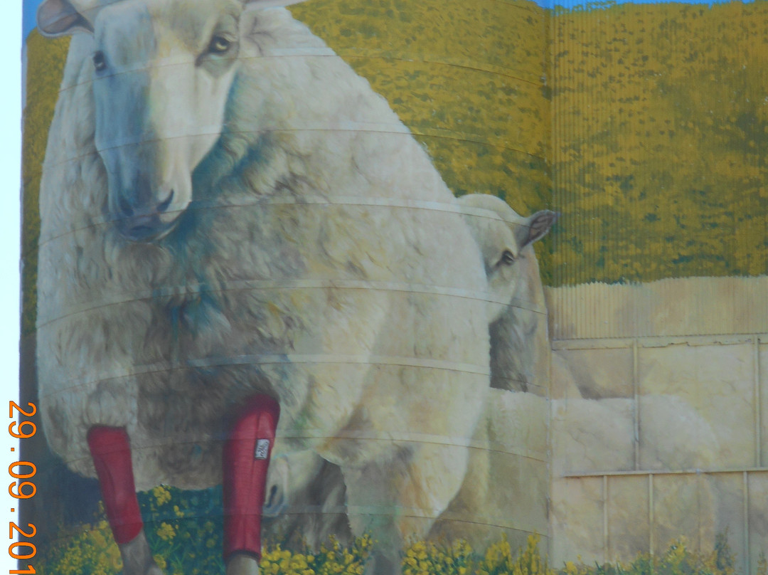 Merriwa Silo Art-Merriwa必去景点