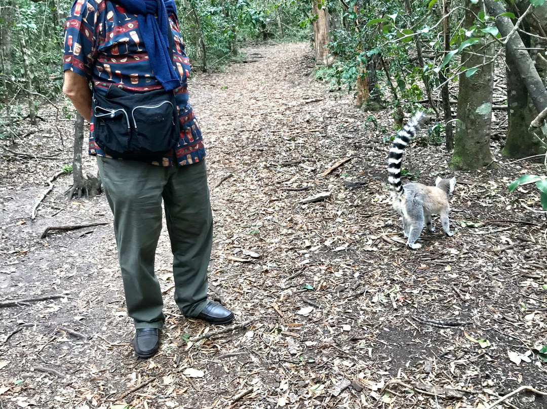 Monkeyland Primate Sanctuary-The Crags必去景点