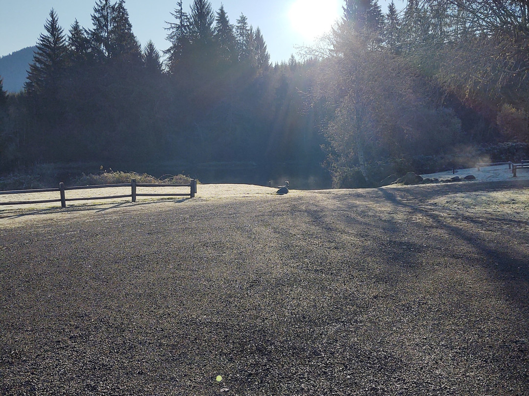 奎纳尔特河客栈主图