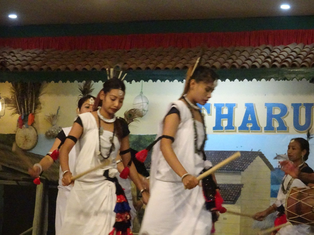 Sauraha Tharu Culture House景点图片