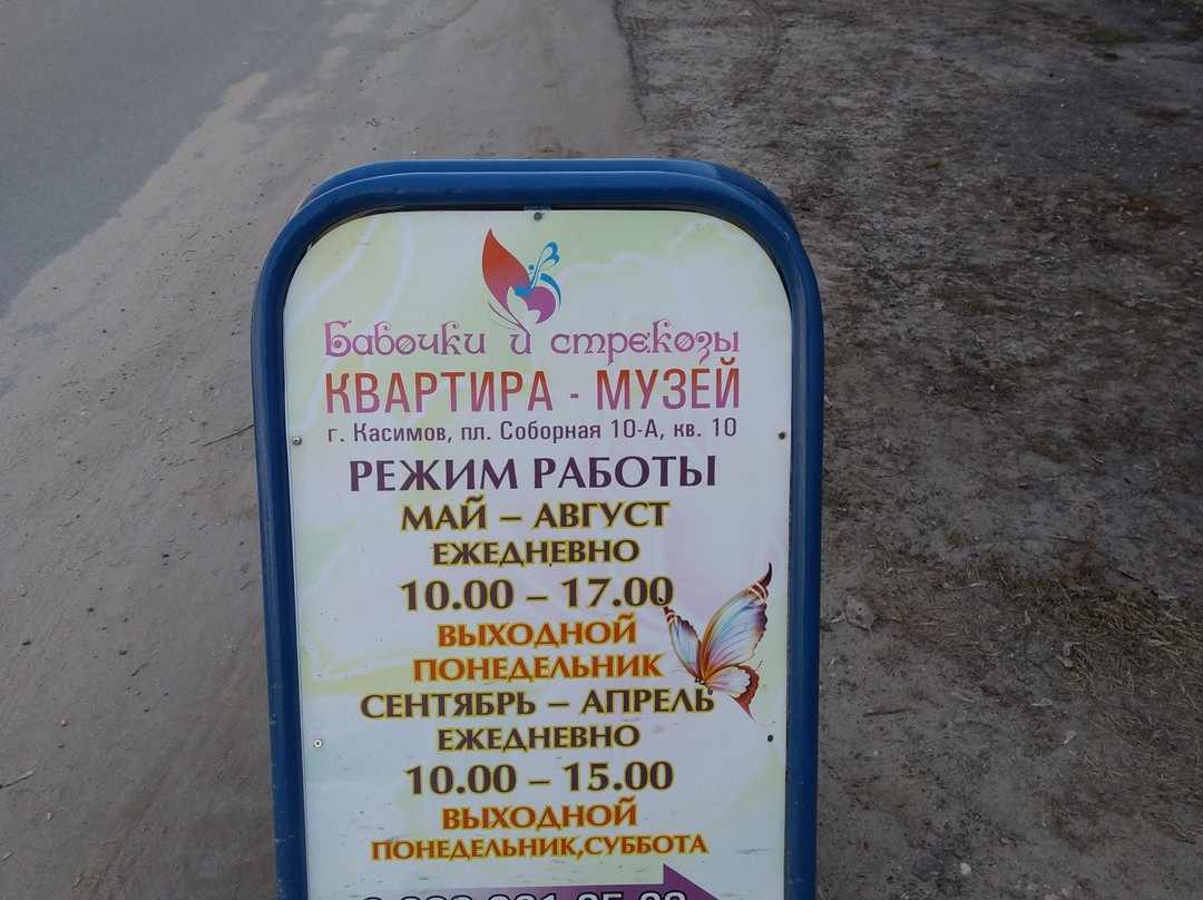 Apartment Museum of Butterfly and Dragonfly-Kasimov必去景点