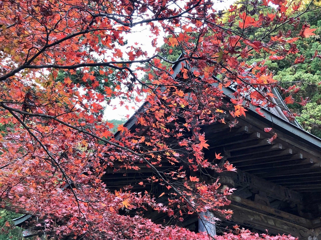 Oyama Temple景点图片