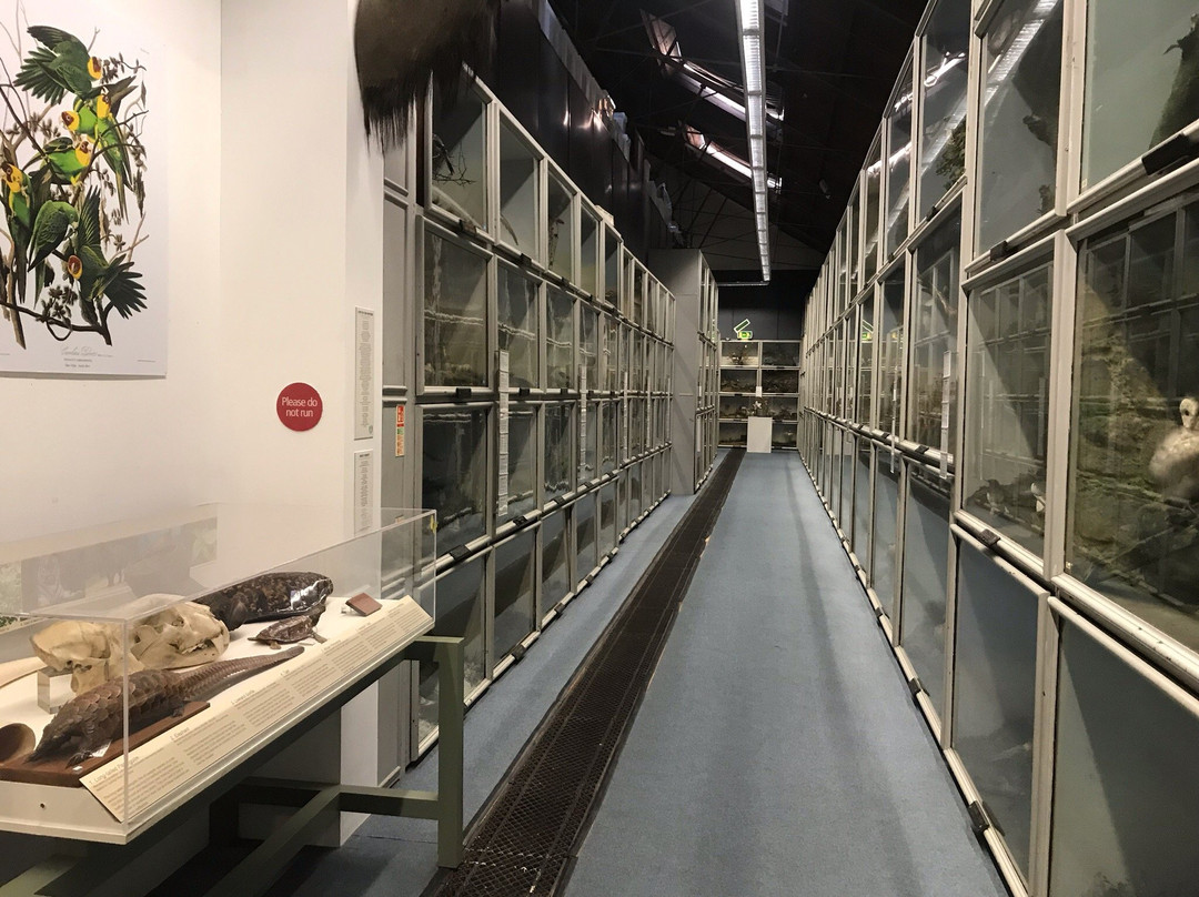 Booth Museum of Natural History-布莱顿必去景点