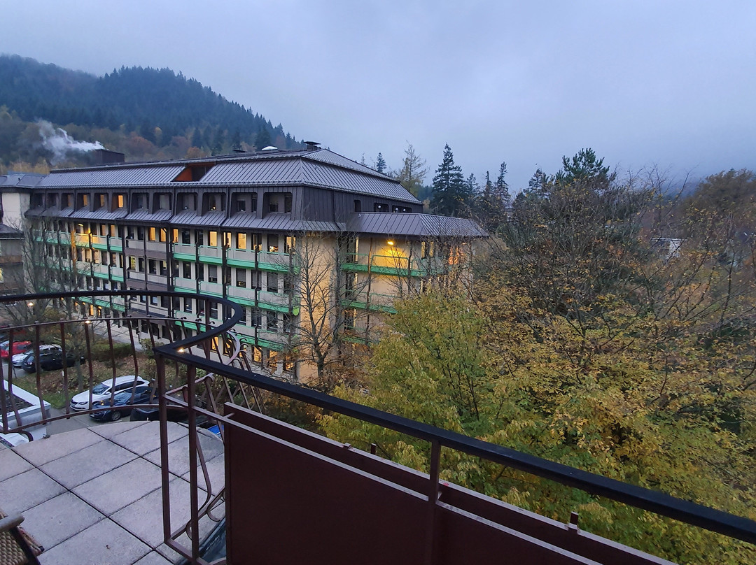 Hotel Tannenhof主图