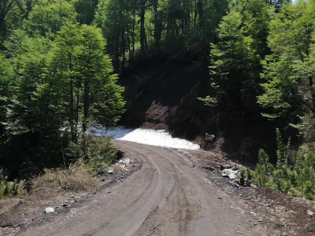 Reserva Nacional China Muerta-Araucania Region必去景点
