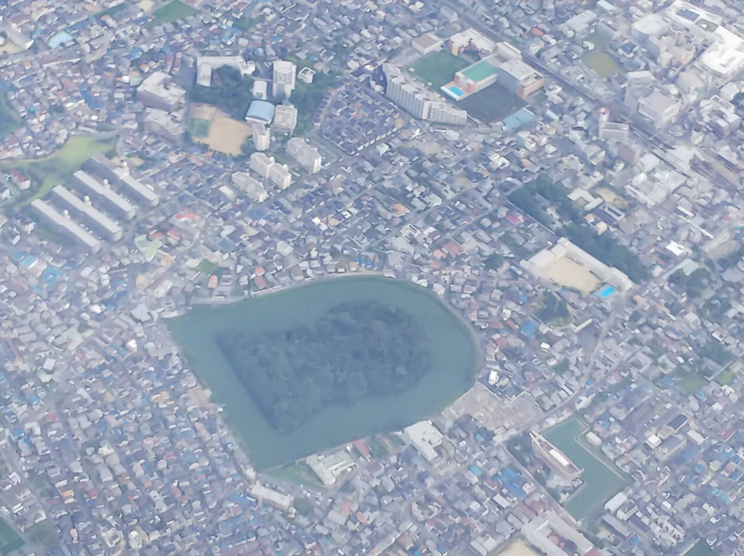 Furuichi  Ancient Tumulus Clusters景点图片