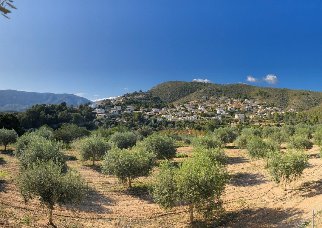 Castell de la Solana主图