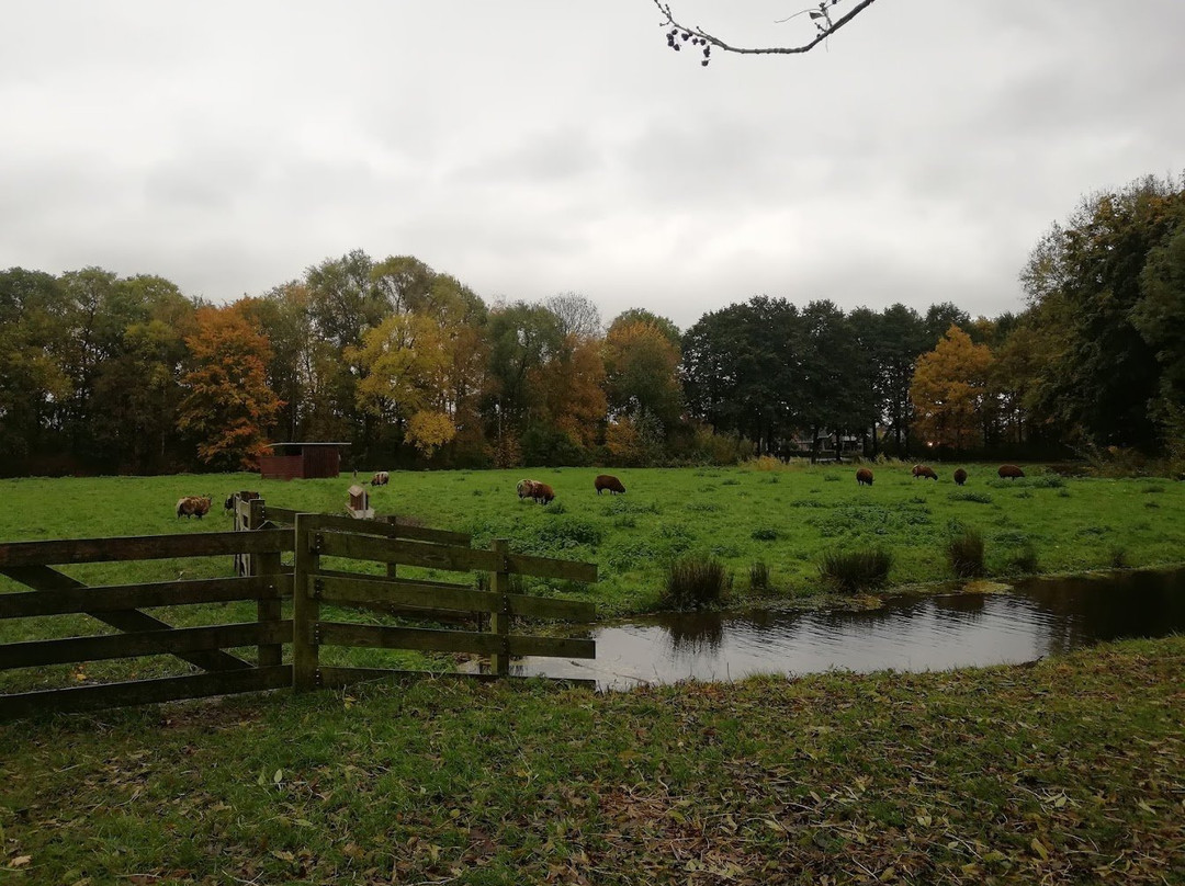 Landgoed Bredius Park-Woerden必去景点